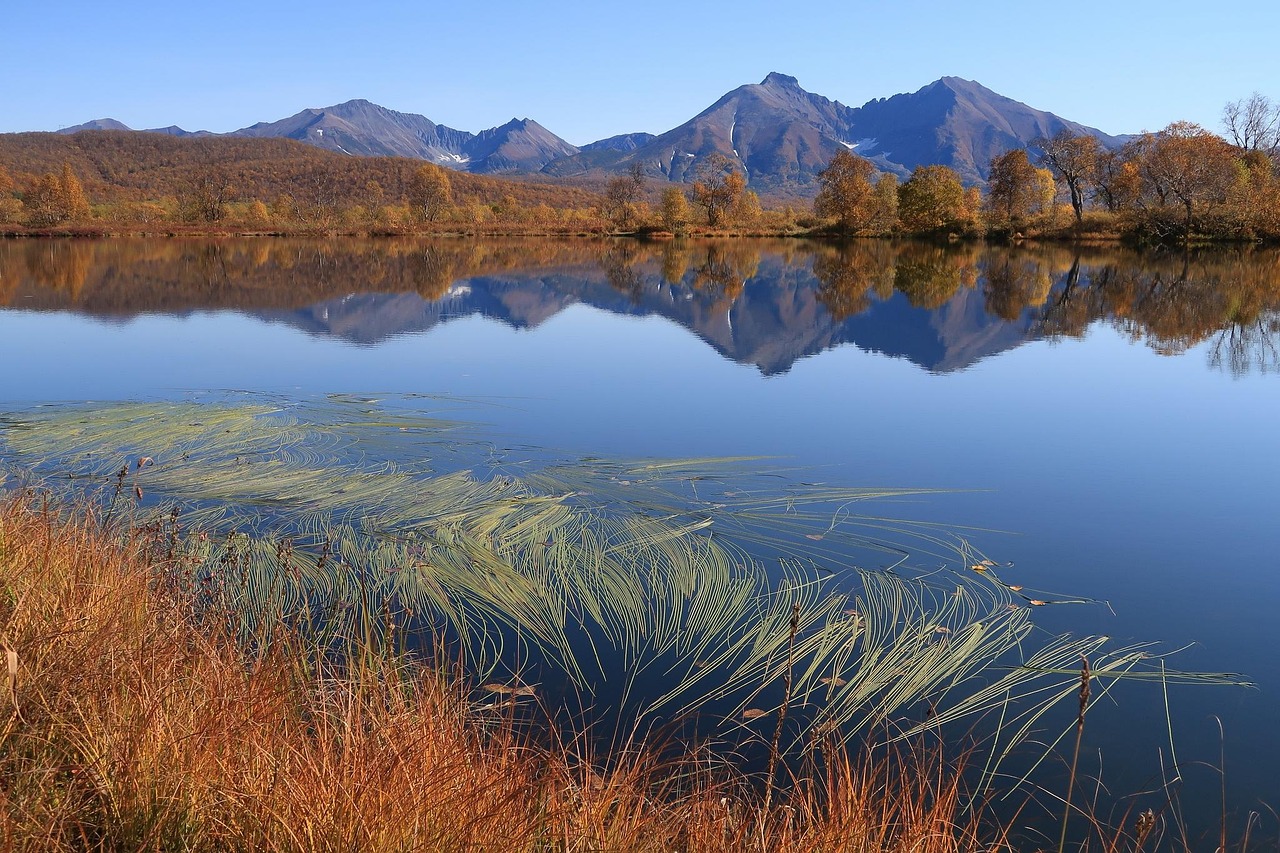 Autumn - free online jigsaw puzzle photo