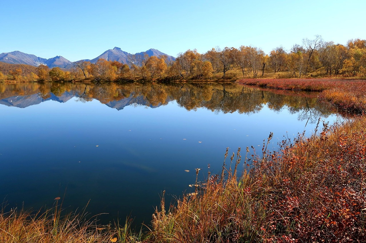 Autumn - free online jigsaw puzzle photo