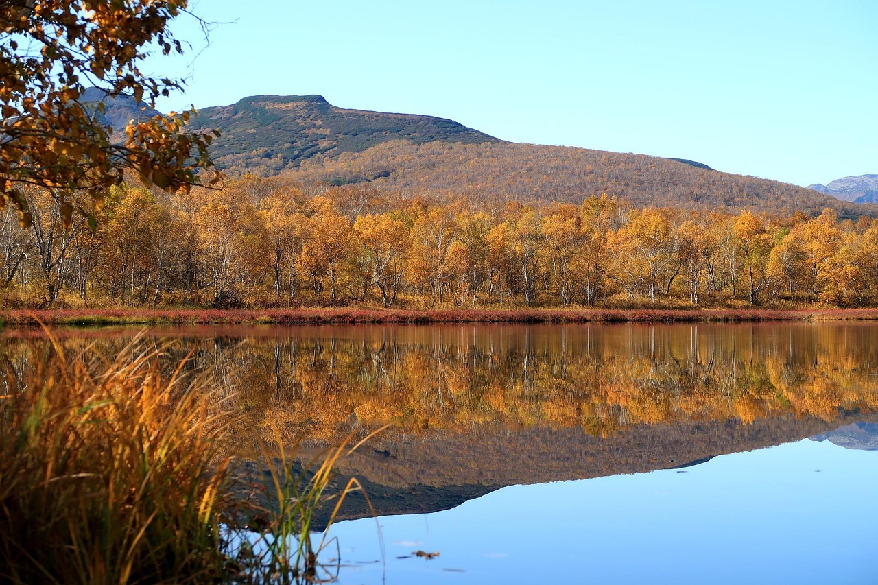 Autumn - free online jigsaw puzzle photo