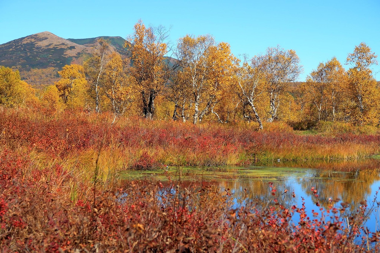 Autumn - free online jigsaw puzzle photo