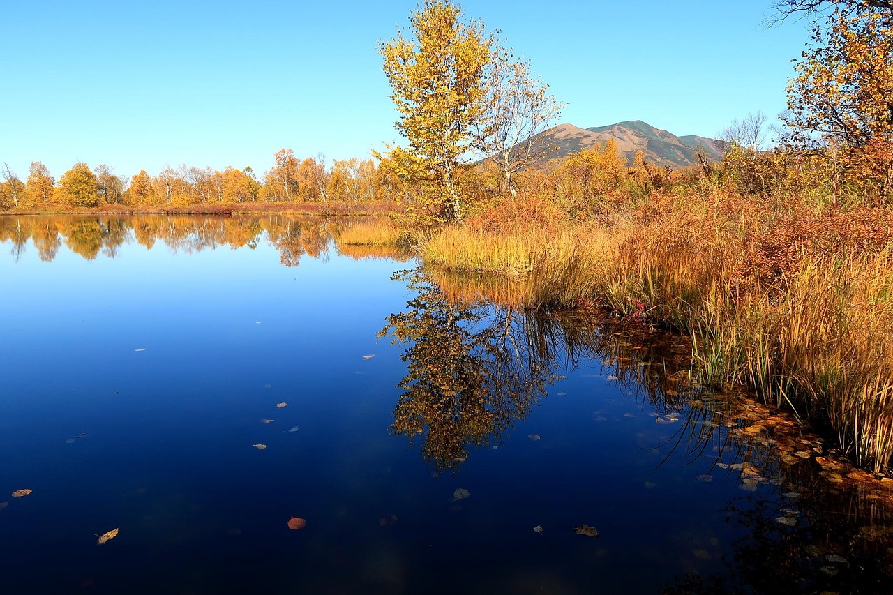 Autumn - free online jigsaw puzzle photo