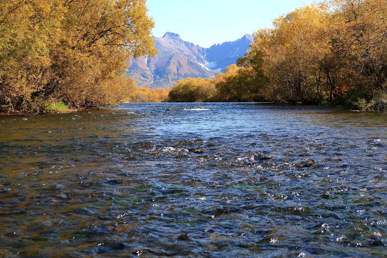 Autumn - free online jigsaw puzzle photo