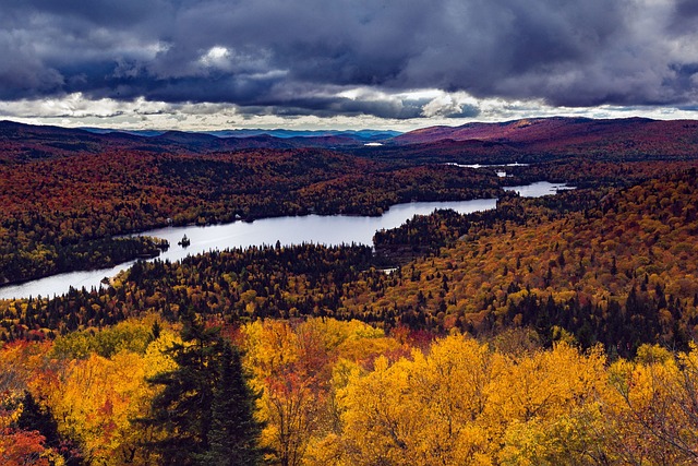 Free Autumn Landscape Foliage photo and picture