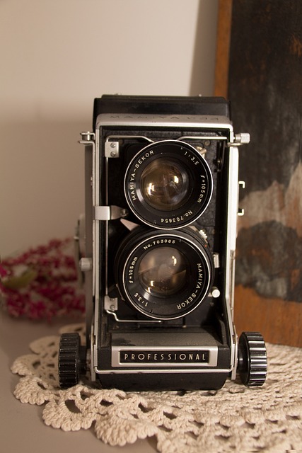 Free Vintage Camera photo and picture