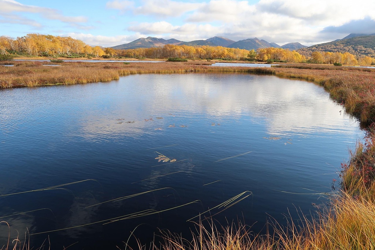 Autumn - free online jigsaw puzzle photo