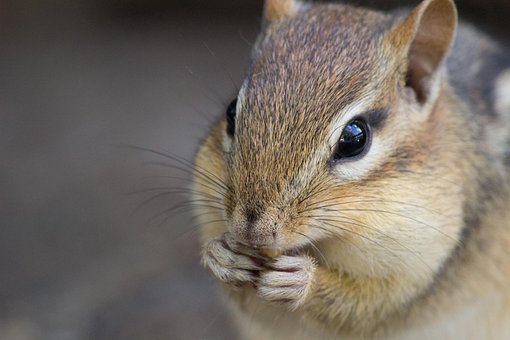 파산 가능성 제천시 화산동6