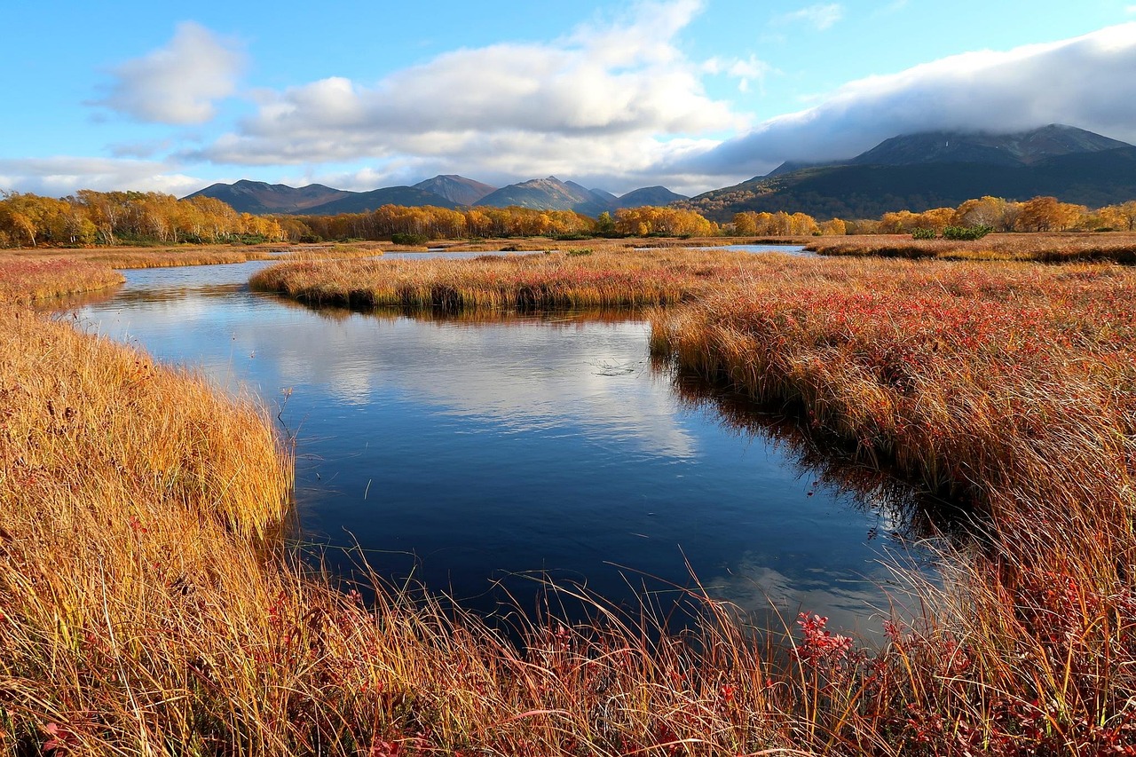 Autumn - free online jigsaw puzzle photo