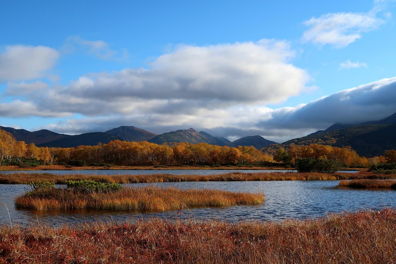 Autumn - free online jigsaw puzzle photo