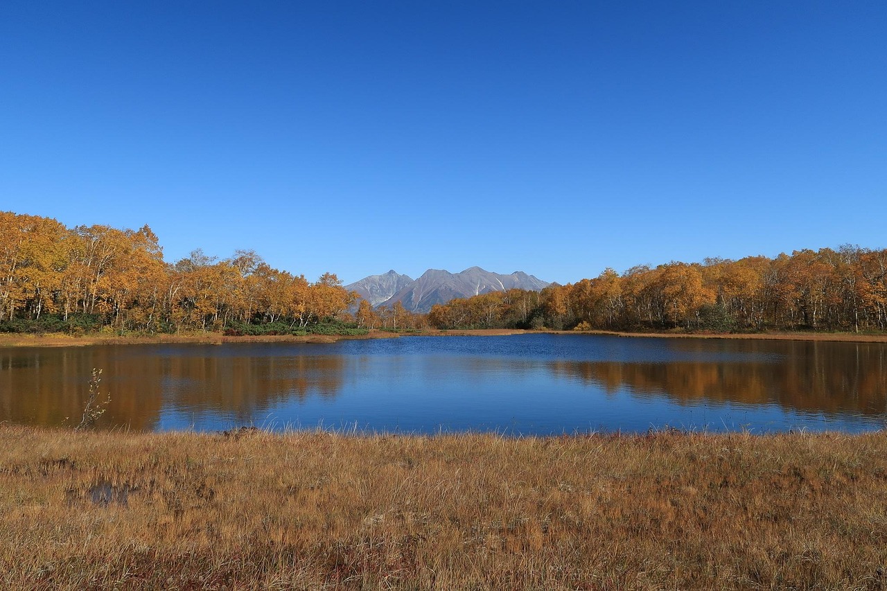 Autumn - free online jigsaw puzzle photo