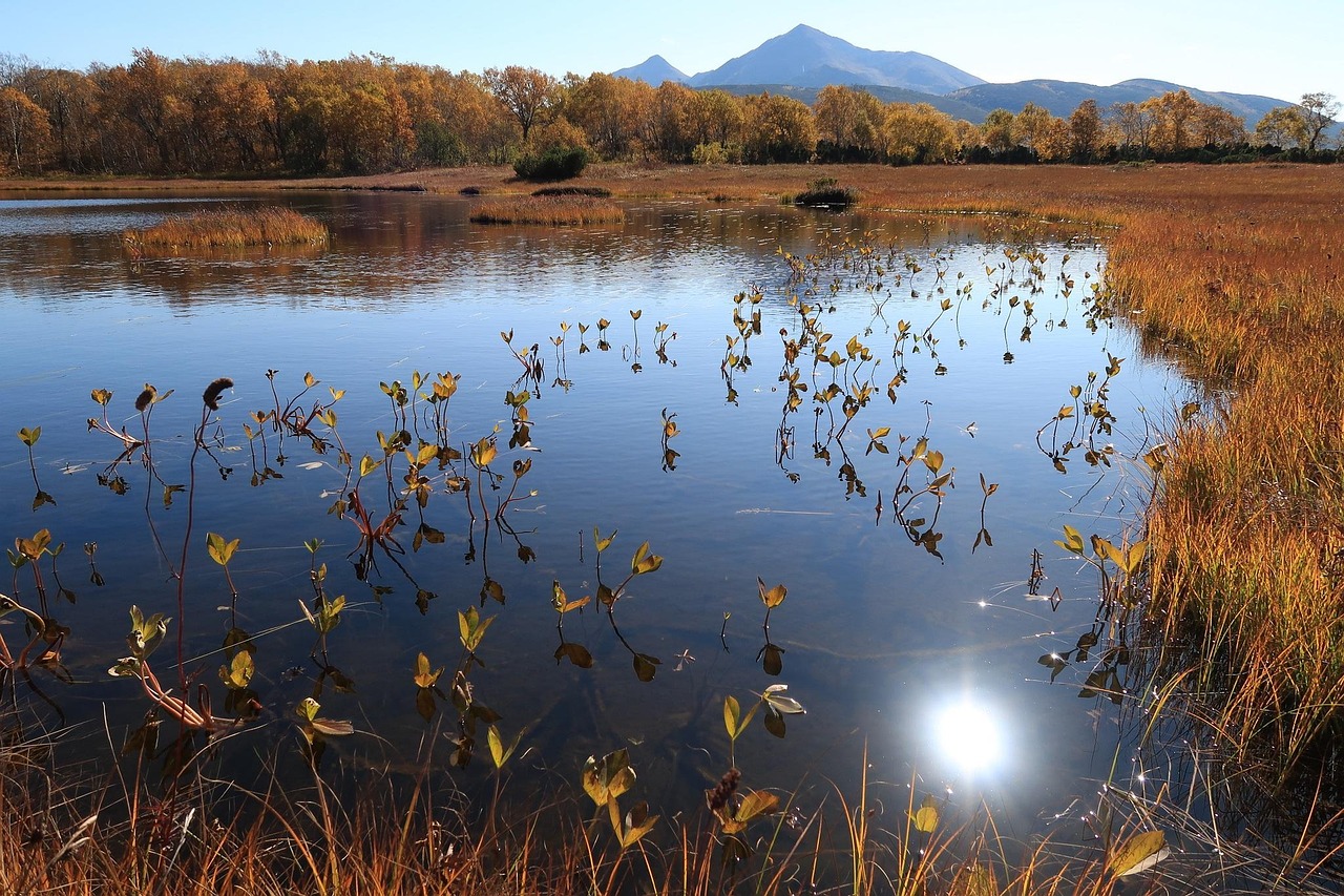 Autumn - free online jigsaw puzzle photo