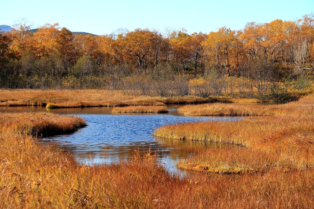 Autumn - free online jigsaw puzzle photo