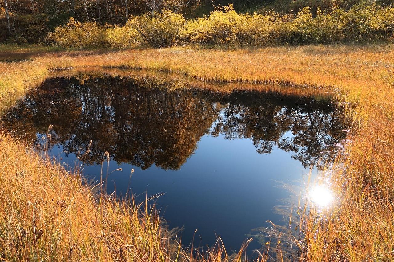 Autumn - free online jigsaw puzzle photo