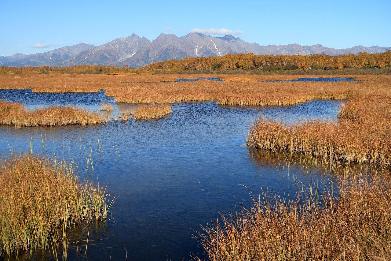 Autumn - free online jigsaw puzzle photo