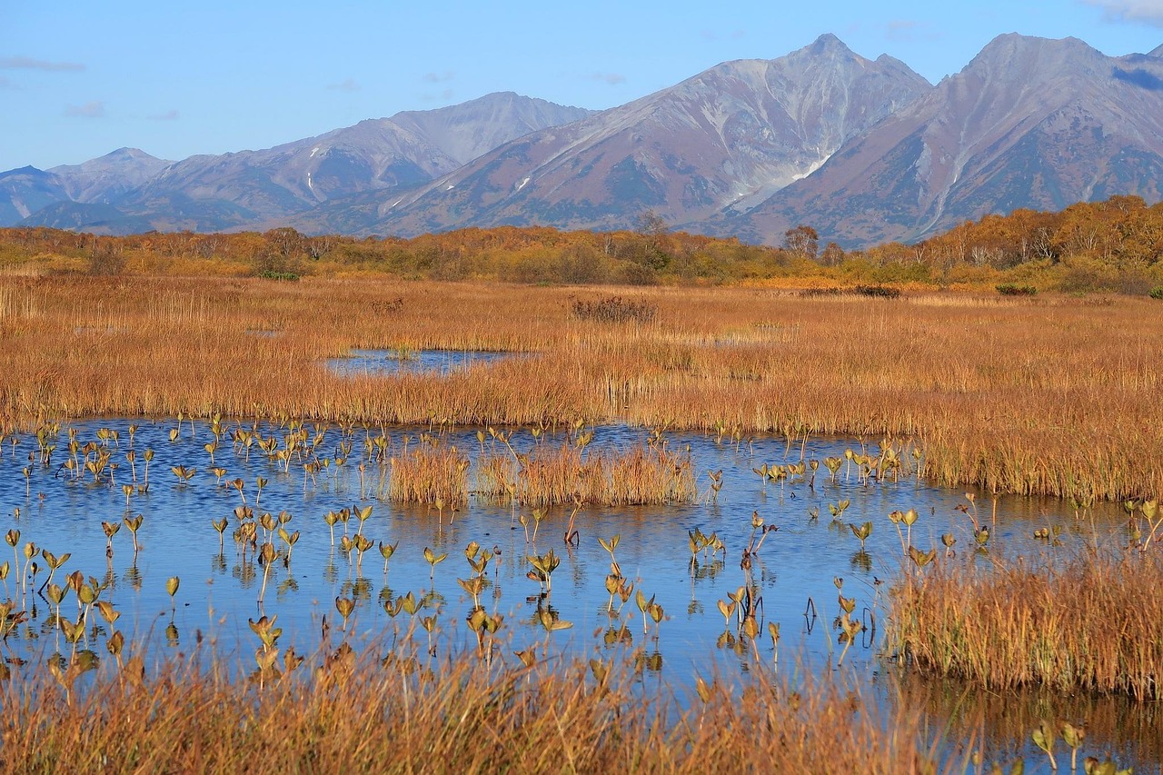 Autumn - free online jigsaw puzzle photo