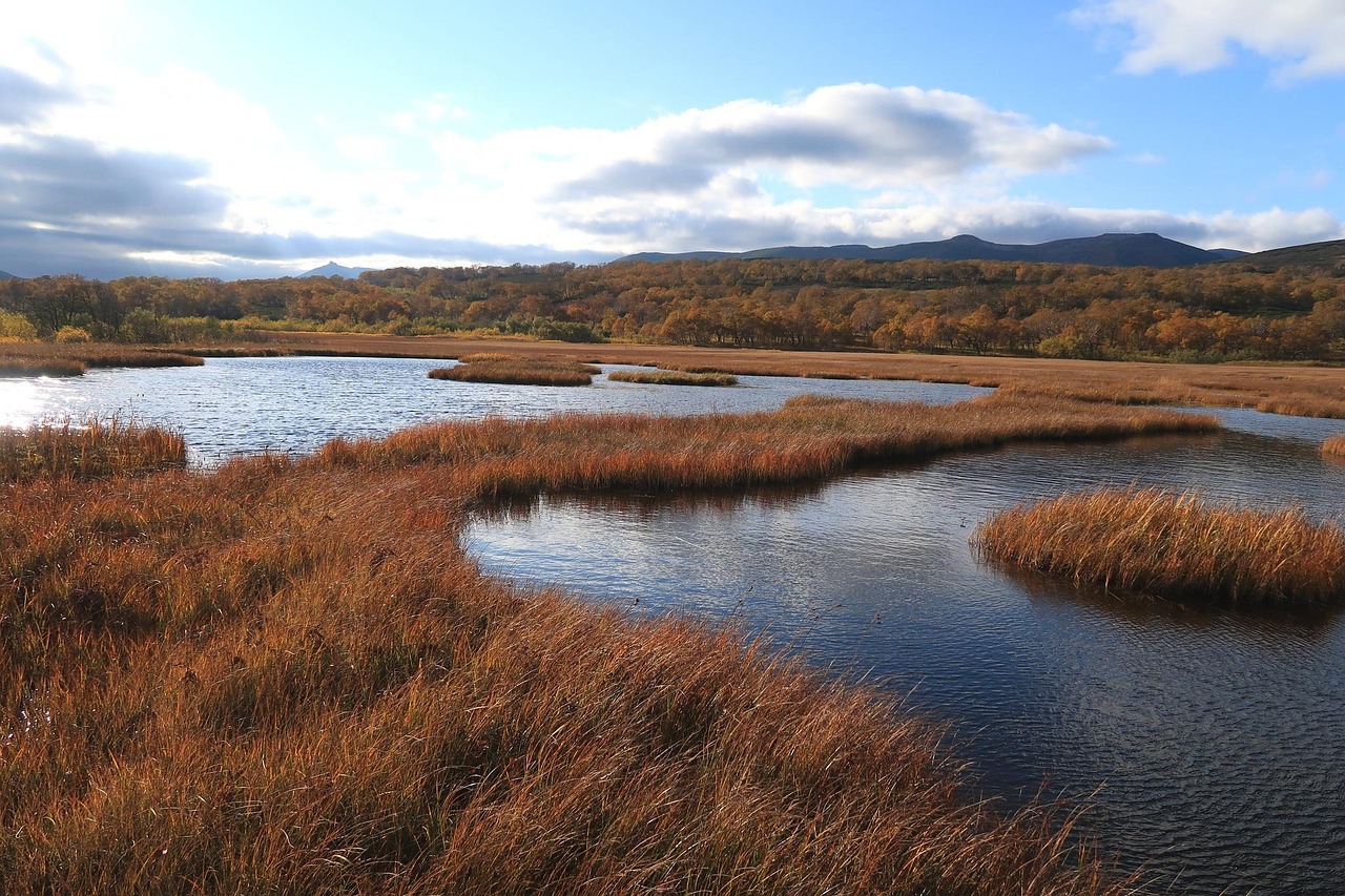 Autumn - free online jigsaw puzzle photo