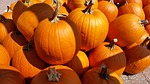 pumpkins, fall, autumn