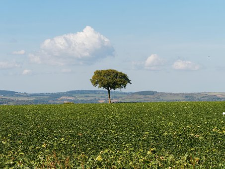 Free Landscapes Auvergne photo and picture