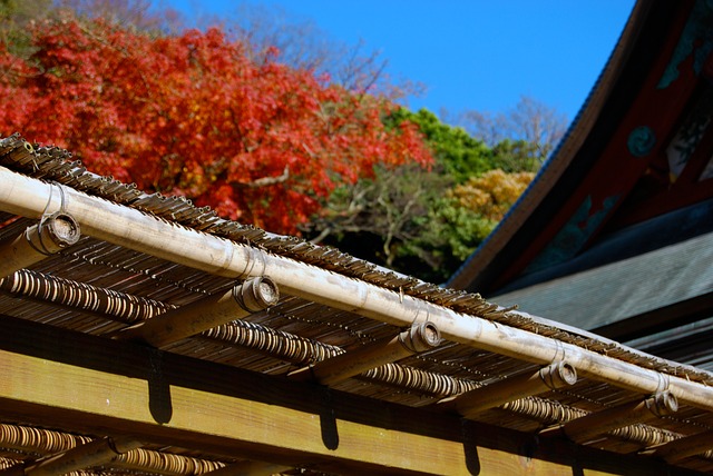 Japan, Kamakura, Japansk, Asien, Rejse