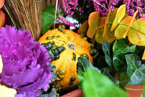Free Autumn Decoration photo and picture