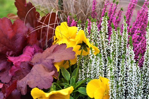 Free Autumn Decoration photo and picture