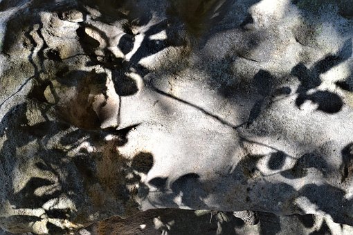 Free Light Shadow photo and picture
