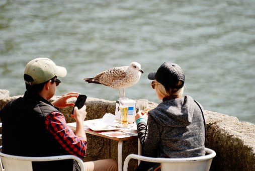 Free Tourism Travel photo and picture