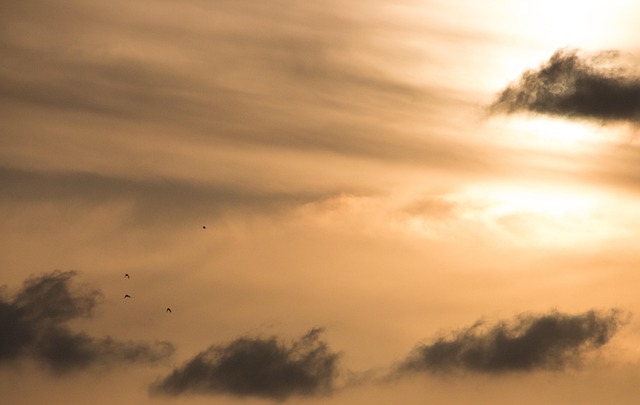 Free Sunset Sky photo and picture