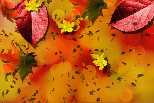 Free Autumn Fall illustration and picture