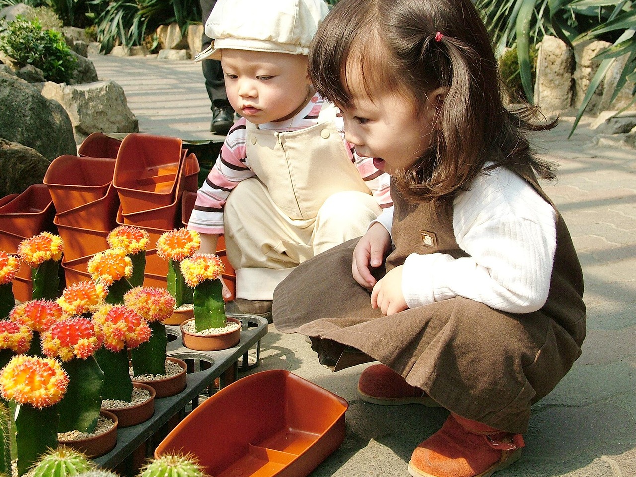 Picnic Botanical Garden Children'S Free photo on Pixabay Pixabay