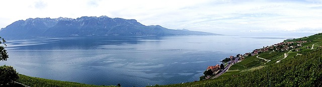 Free Lake Geneva Foresight photo and picture