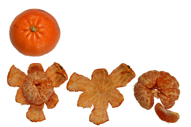 Free fruit citrus healthy illustration
