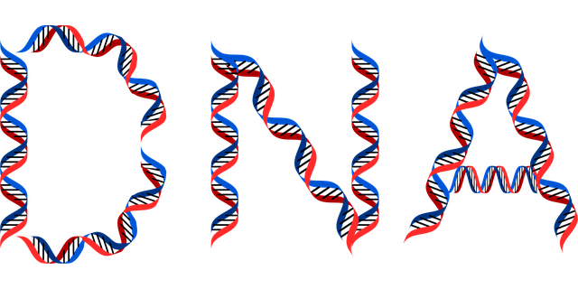 Free dna deoxyribonucleic acid typography vector