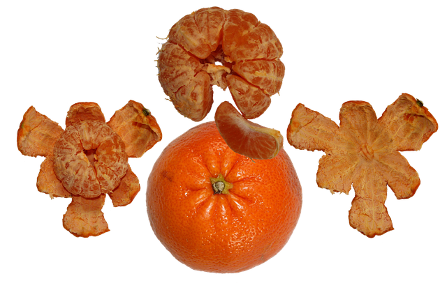 Free fruit tangerine orange illustration