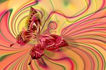 arrangement, butterfly, aesthetics