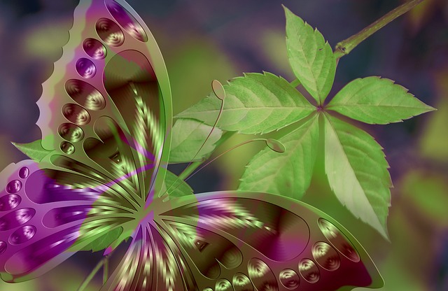 Free arrangement butterfly aesthetics illustration