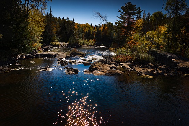 Free River Reflections photo and picture