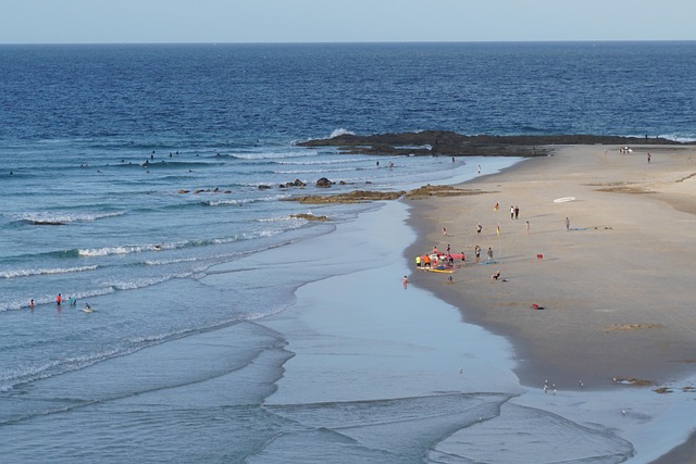 Free Beach Surfers photo and picture