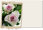 driven, blomsterkort, placecard