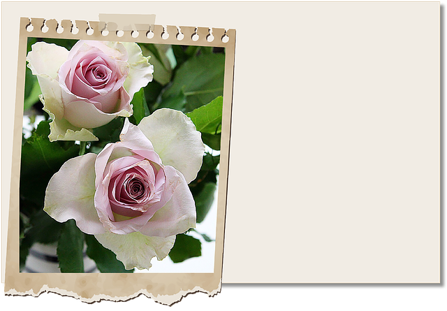 Free map blomsterkort place cards illustration