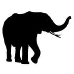 african, elephant, isolated
