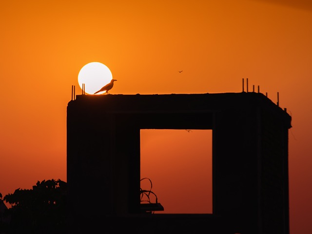 Solnedgang, Orange, Himmel, Sol, Natur