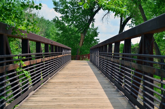 Free Bridge Walkway photo and picture