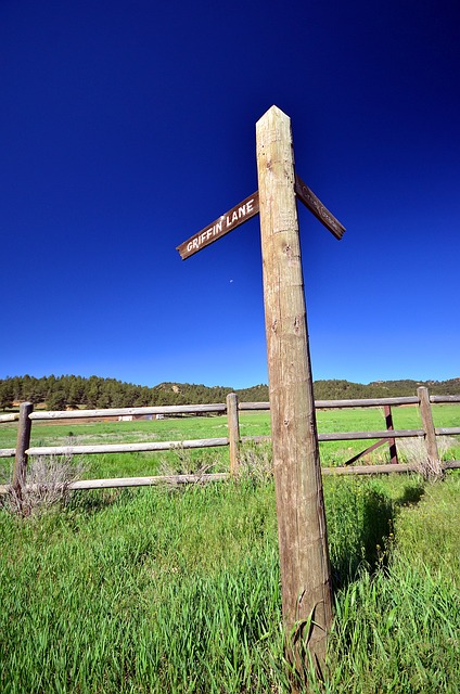 Free Sky Meadow photo and picture