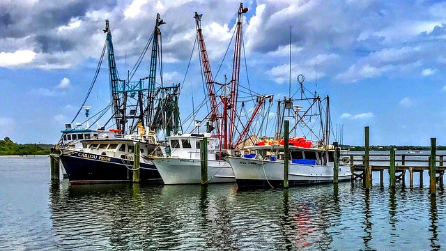 Free Boats Fishing photo and picture