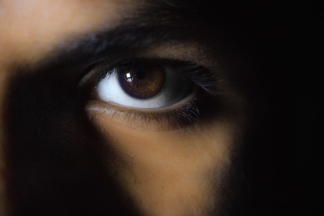Free Macro Eyes photo and picture