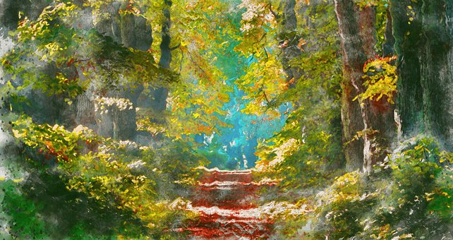Wald, Landschaft, Weg, Baum, Holz, Natur