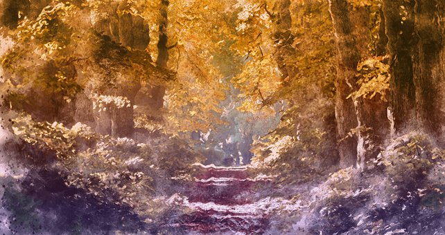 Wald, Landschaft, Weg, Baum, Holz, Natur