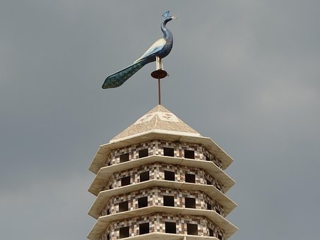 Vögel, Haus, Natur, Heimat, Natürlich