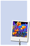 background, letterhead, letter