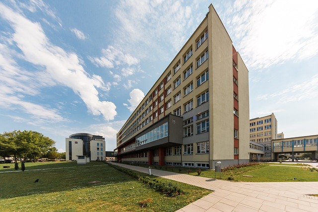 Free School Kielce photo and picture
